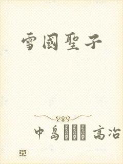 雪国圣子封面