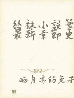 丝袜小说笔趣阁最新章节更新