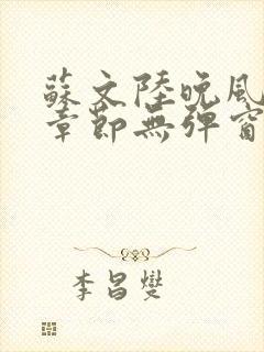 苏文陆晚风最新章节无弹窗笔趣阁