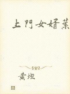 上门女婿叶辰封面