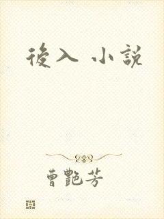 后入 小说