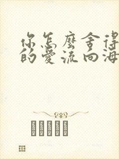 你怎么舍得让我的爱流向海