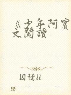 《少年阿宾》全文阅读封面