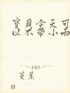 宝贝今天可不可以不带小雨伞