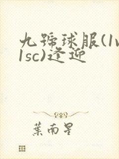 九号球服(1v1sc)逢迎