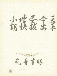 小坏蛋今天危险期快拔出来