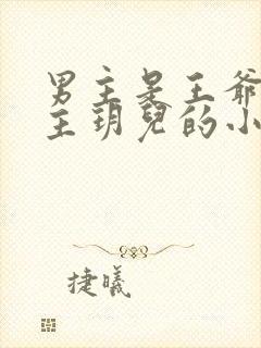 男主是王爷叫女主玥儿的小说