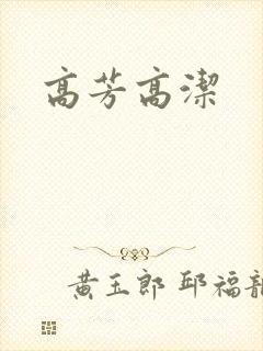 高芳高洁封面