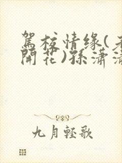 驾校情缘(老树开花)孙潇潇第一次趣笔阁封面