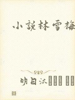 小说林雪梅封面