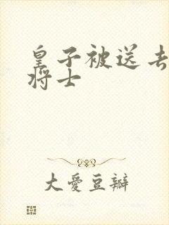 皇子被送去犒劳将士