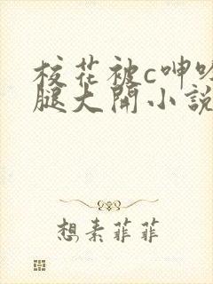 校花被c呻吟双腿大开小说