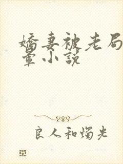 娇妻被老局长肉晕小说