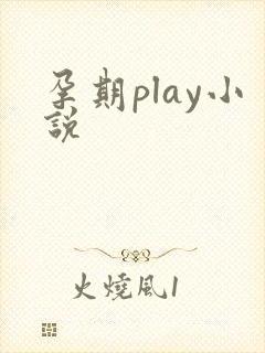 孕期play小说