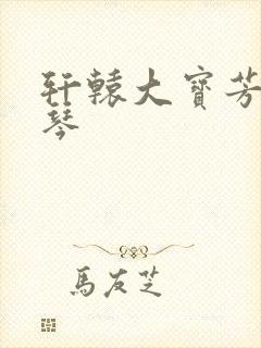 轩辕大宝芳菲雅琴