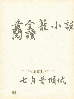 黄金笼小说免费阅读封面