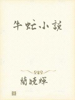 牛虻小说