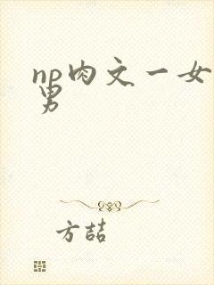 np肉文一女多男