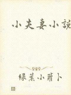 小夫妻小说