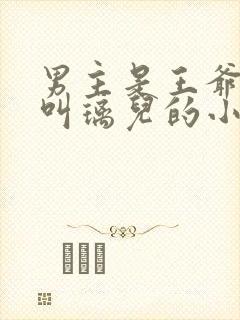 男主是王爷女主叫璃儿的小说