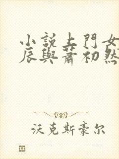 小说上门女婿叶辰与萧初然