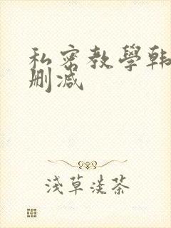 私密教学韩漫未删减