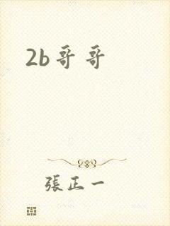 2b哥哥