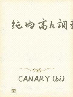 纯肉高h调教文