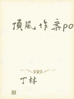顶风作案po