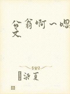 公翁啊～嗯啊h文