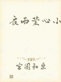 夜雨莹心小说封面