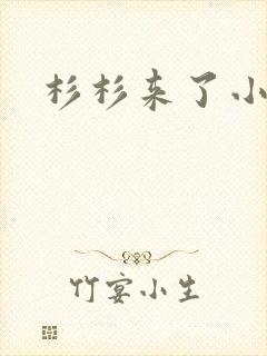 杉杉来了小说封面