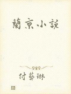 兰京小说