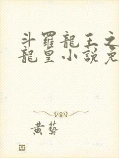 斗罗龙王之光暗龙皇小说免费阅读