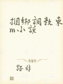 捆绑调教束缚sm小说