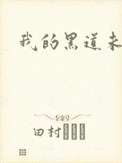 我的黑道未婚夫