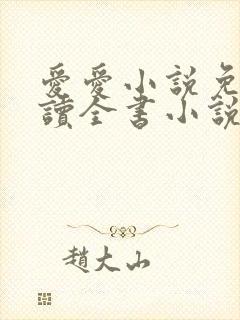 爱爱小说免费阅读全书小说乡村封面