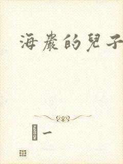 海岩的儿子
