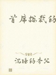 首席总裁的逃妻