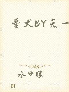 爱犬BY天一