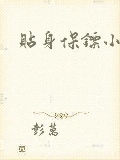 贴身保镖小说封面