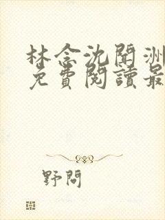 林念沈闻洲全文免费阅读最新章节封面