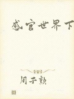 感官世界下载封面