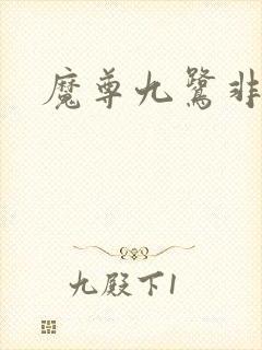 魔尊九鹭非香封面