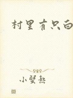 村里有只白骨精封面