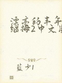 漂亮的丰年经的继拇2中文版封面