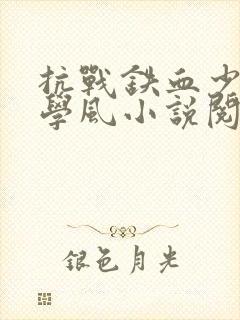 抗战铁血少帅张学风小说阅读封面