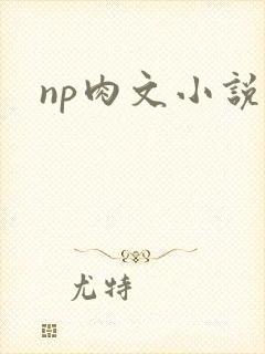 np肉文小说