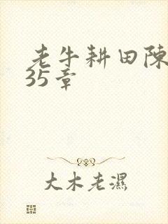 老牛耕田陈雪435章封面