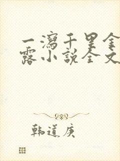 一泻千里金银花露小说全文免费阅读